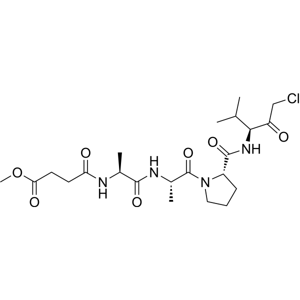 MeOSuc-AAPV-CMK (Elastase Inhibitor III) 65144-34-5